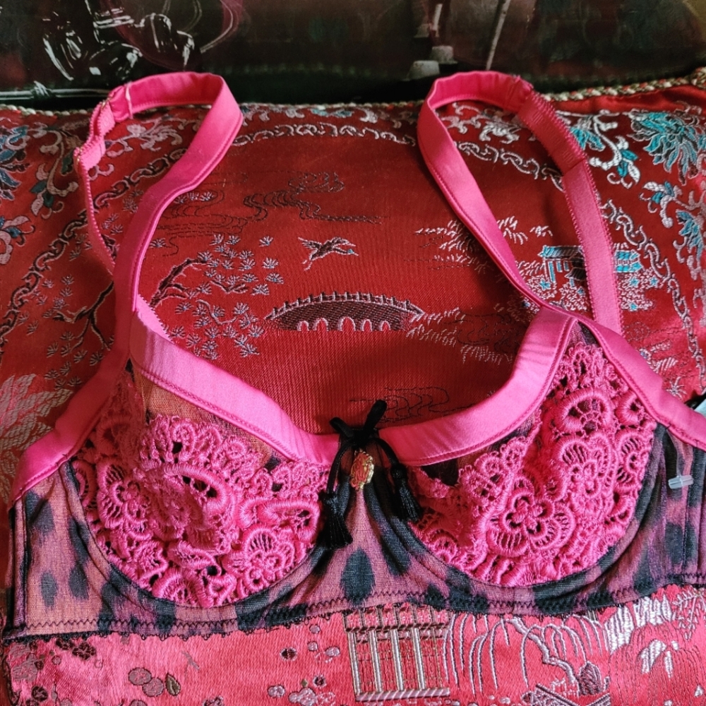 Roberto Cavalli NWT pink lace pink leopard print size 32